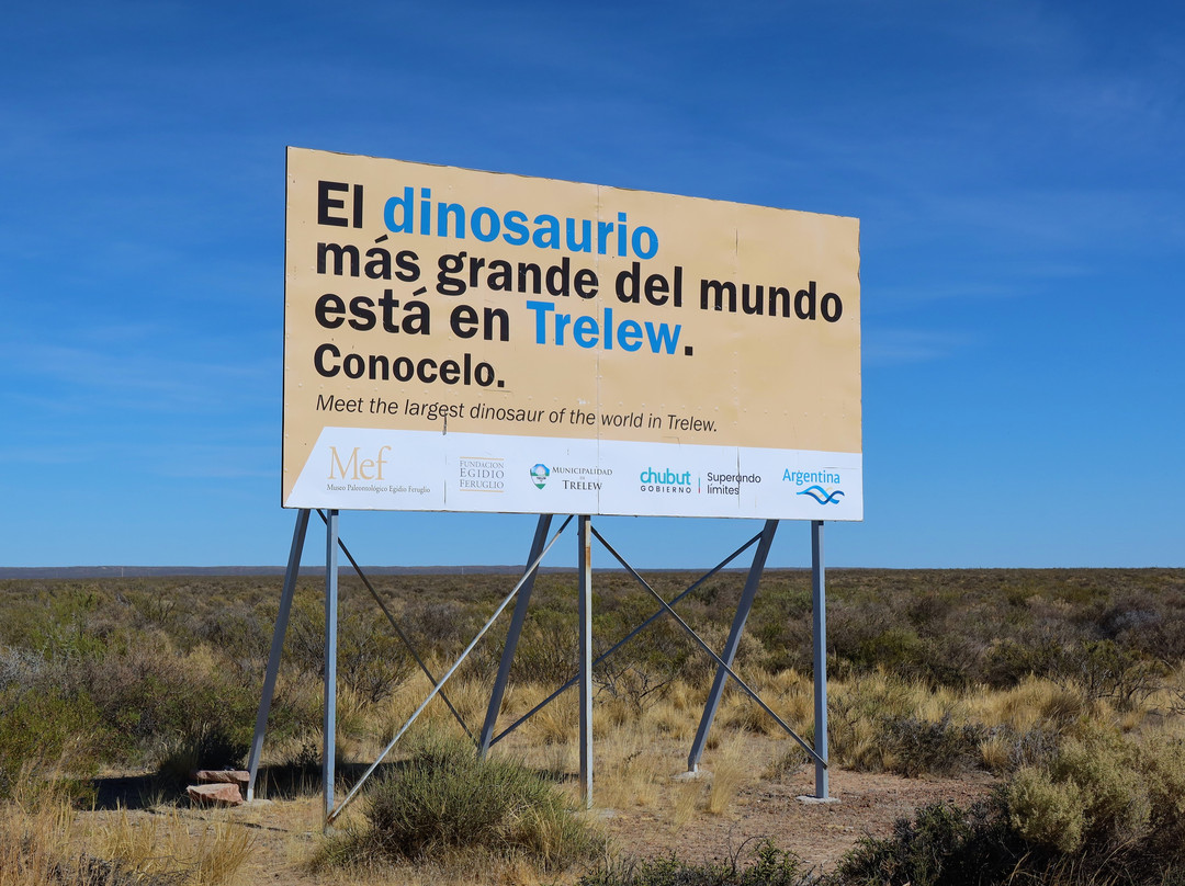 Replica del Titanosaurio-Trelew必去景点