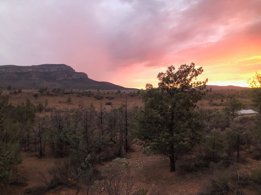 Rawnsley Park Station Eco Villas主图