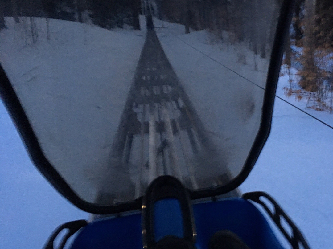 Ridge Runner Mountain Coaster-蓝山必去景点