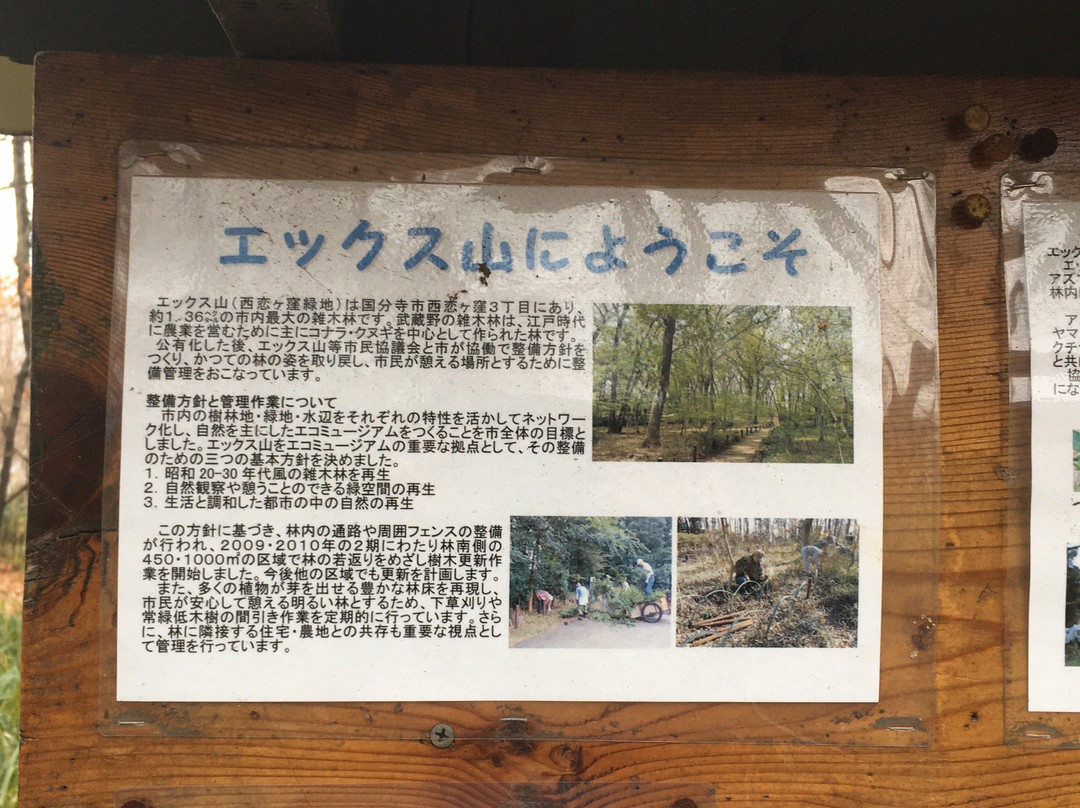 Nishikoigakubo Ryokuchi-国分寺市必去景点