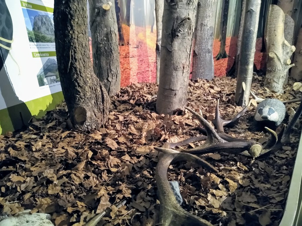 Parketxea Centro de interpretacion del Parque Natural de Gorbeia-Areatza必去景点