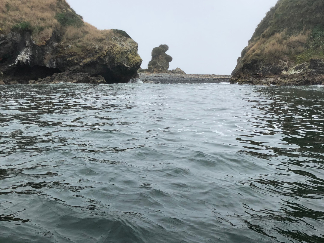 Pinguineras-Ancud必去景点