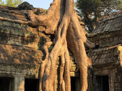 Service Tour Cambodia-金边必去景点