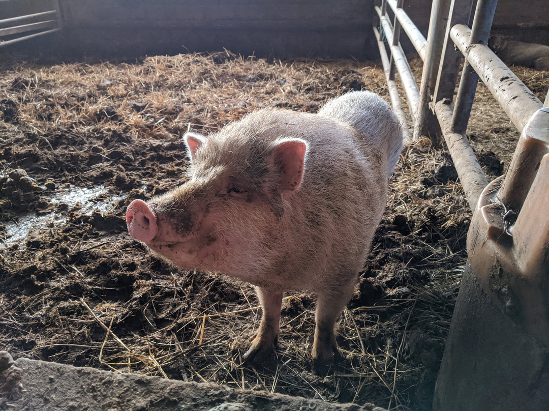 La Ferme du Rolland主图