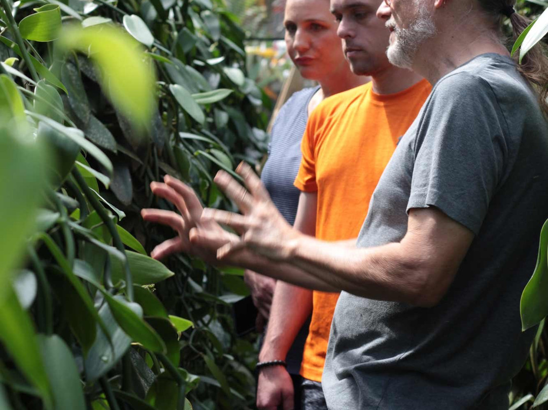 The Vanillery of Kauai-卡帕阿必去景点