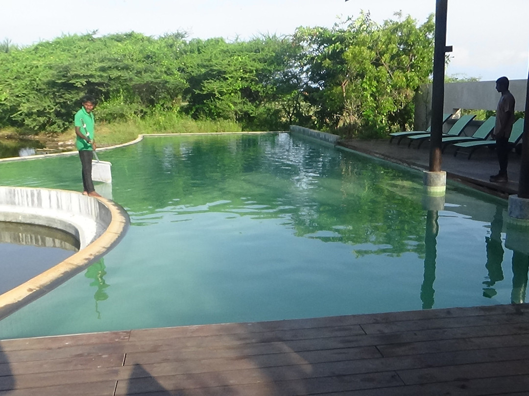 The Palmyrah House主图