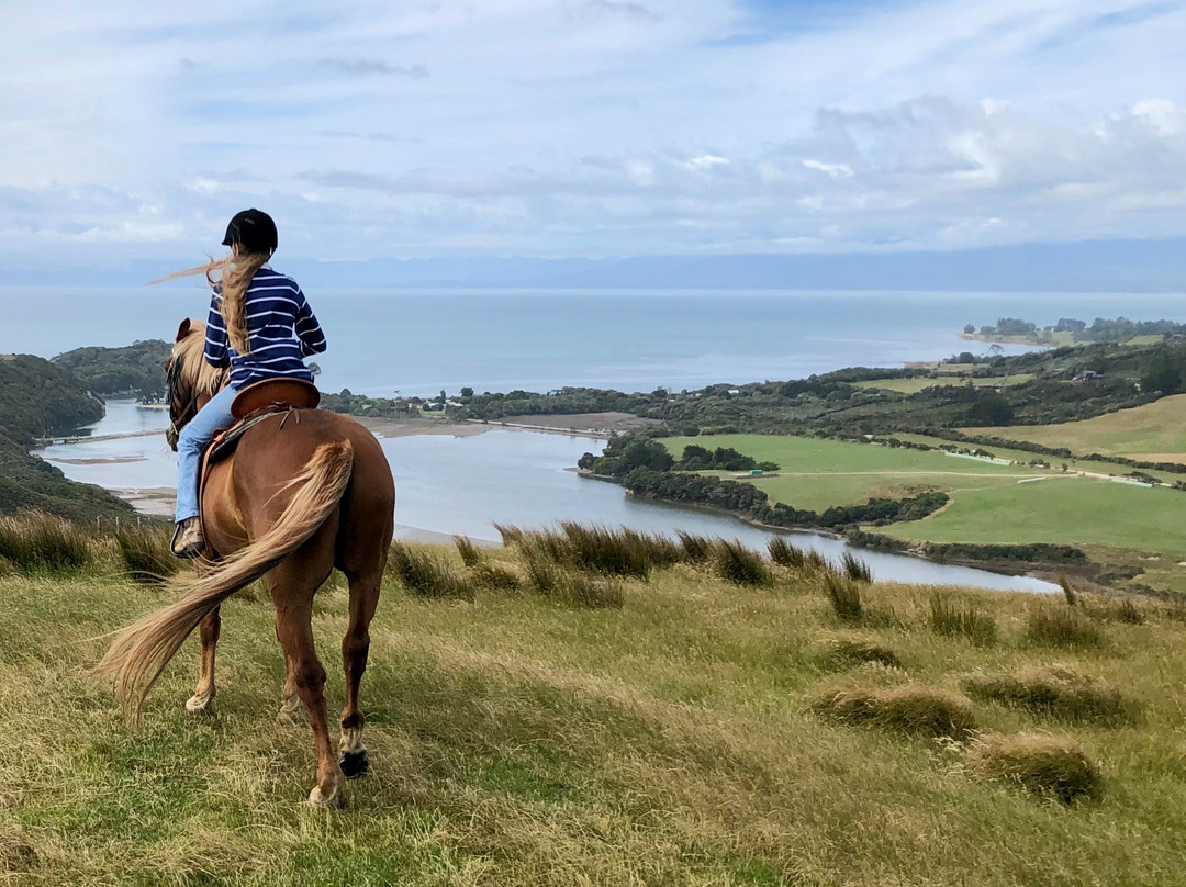 Cape Farewell Horse Treks景点图片