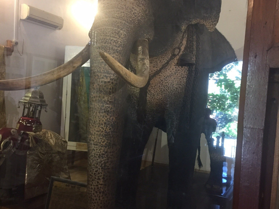 Raja Museum景点图片