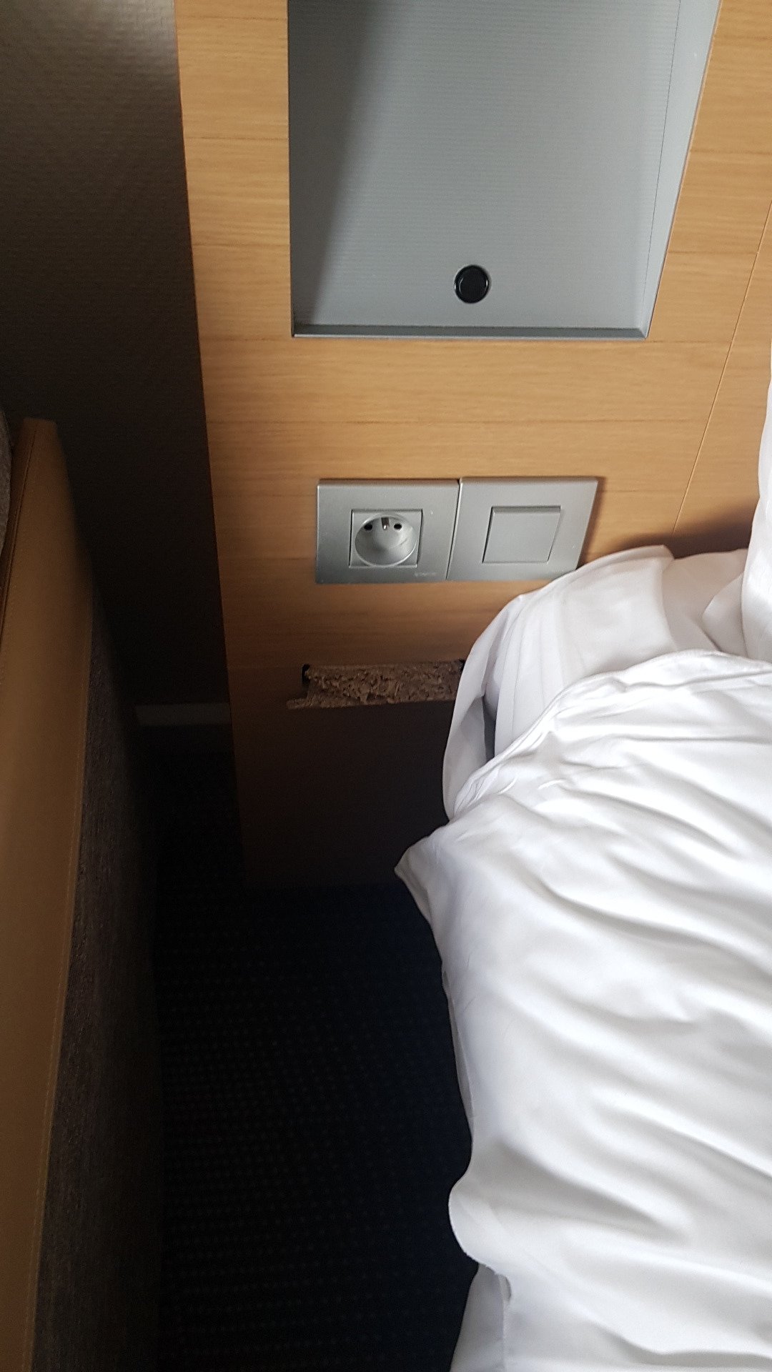 Novotel Marne La Vallee Noisy-酒店景观