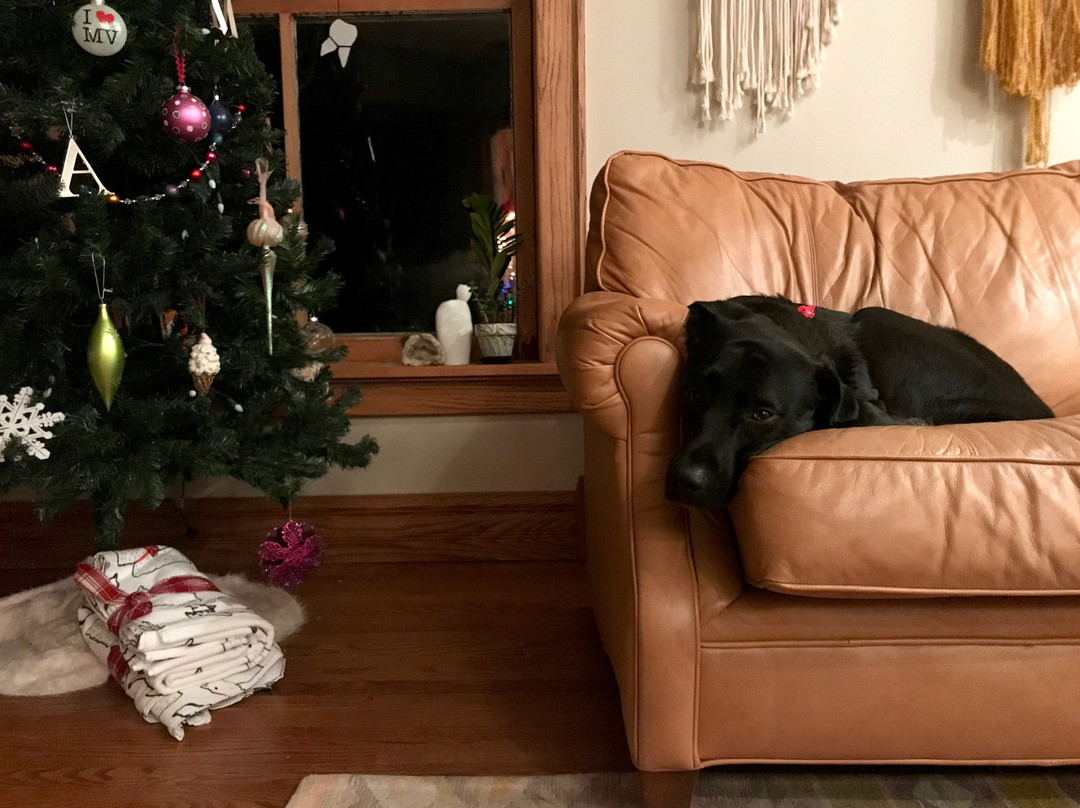 Thistle's Summit B&B and Homestead主图