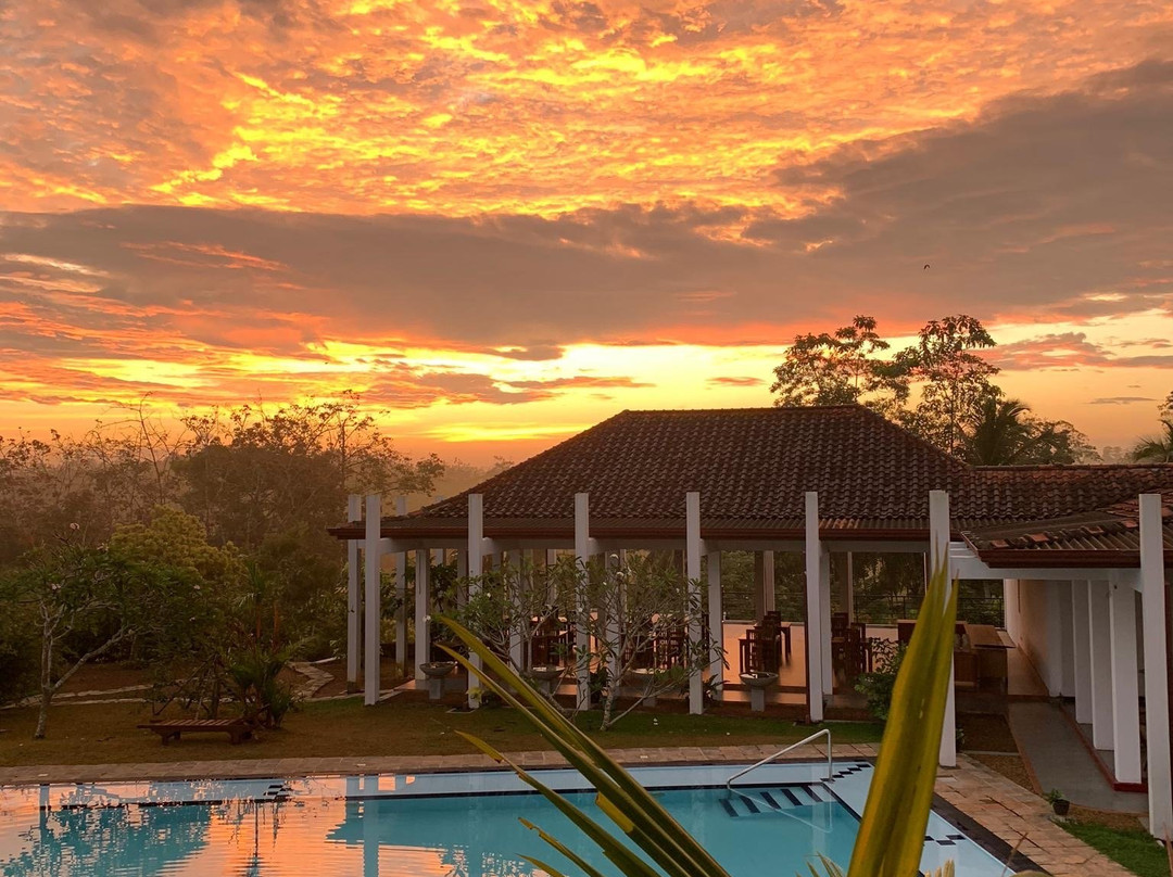 Silent Garden All Meals Treatments主图