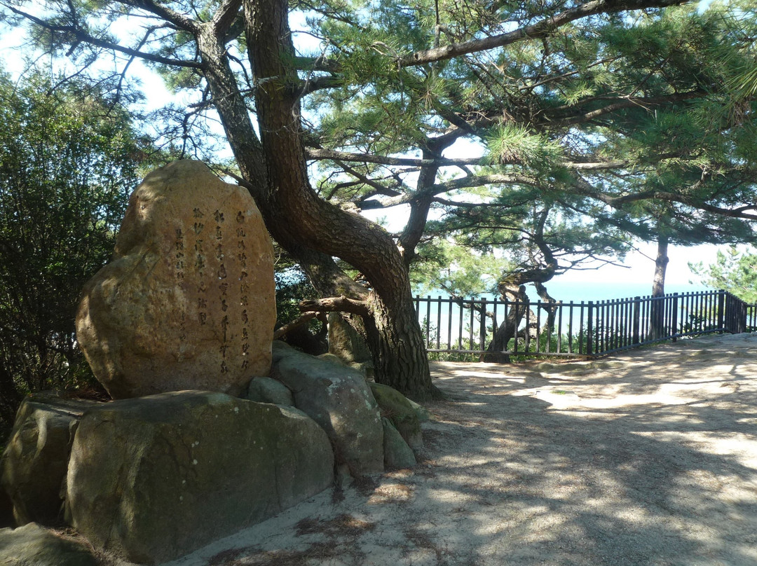 Zogahana Iwazenigata Observatory景点图片