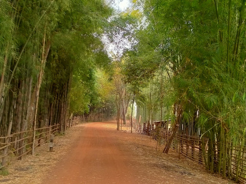 Sawasdee Biking Tour-夜佬必去景点