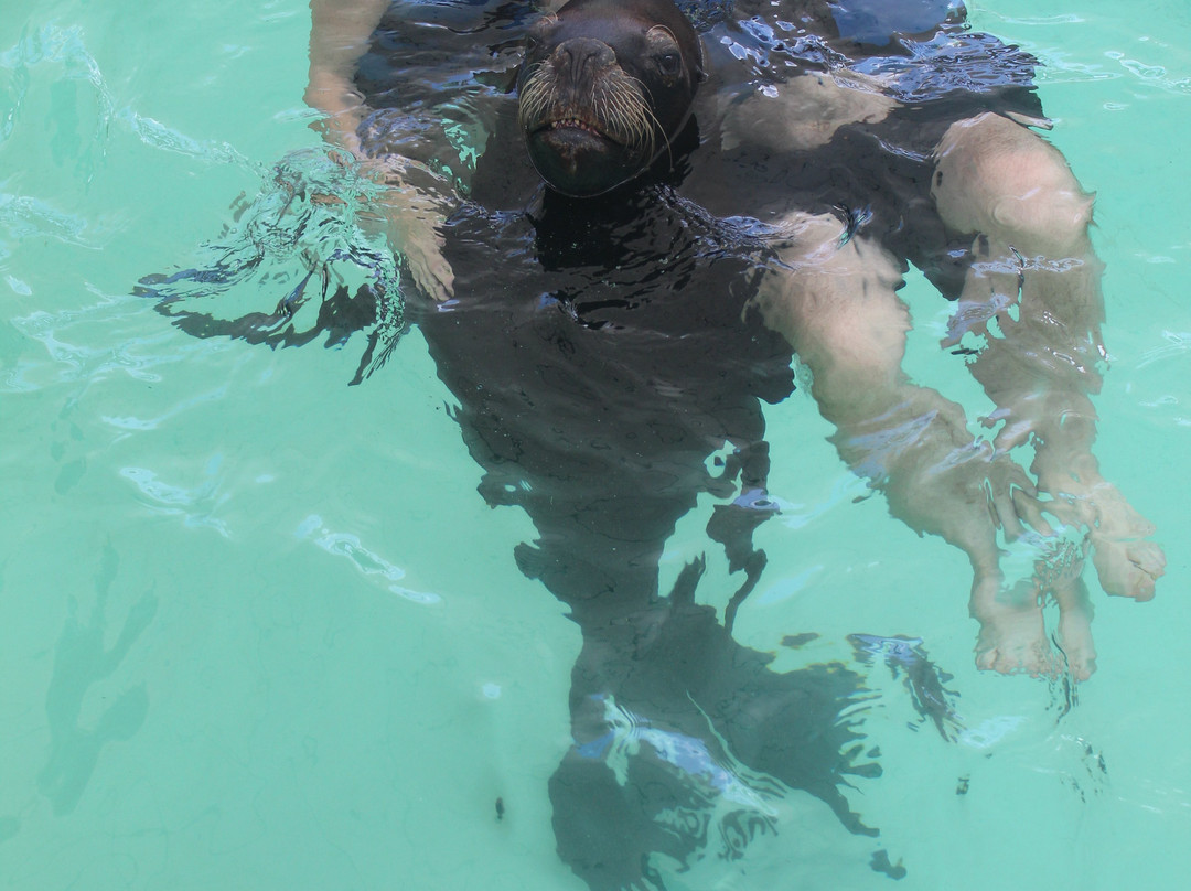 Coral World Ocean Park-Smith Bay必去景点