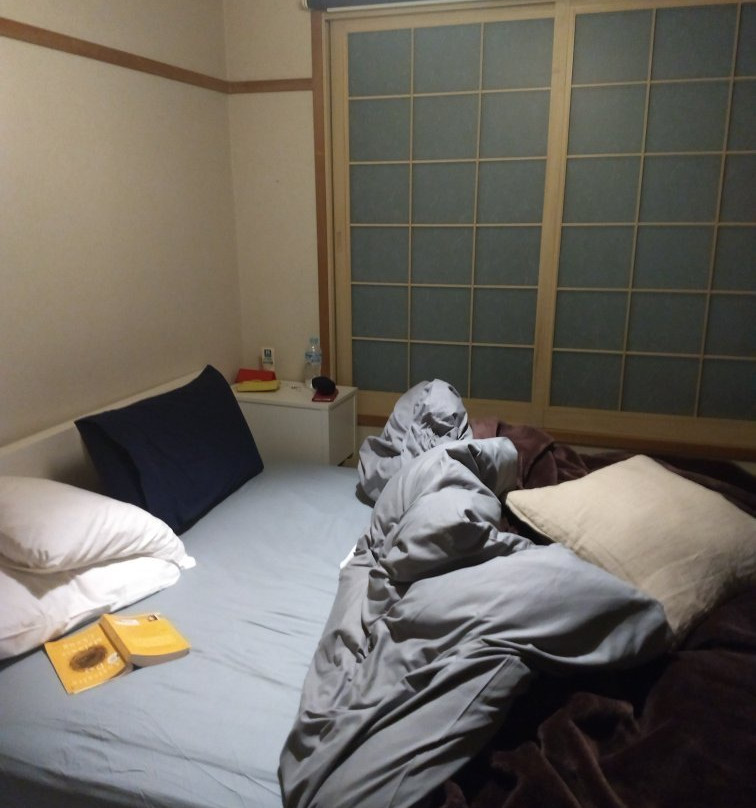 Nozawa Central Hotel主图