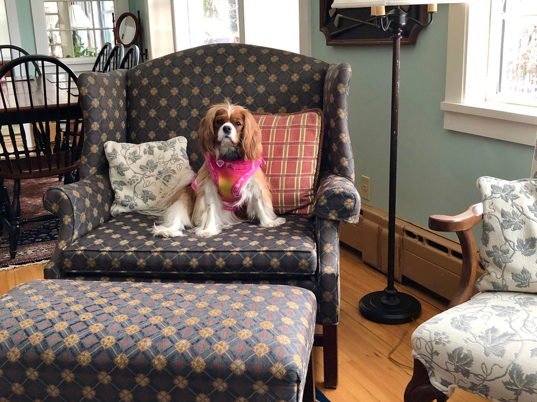 威尔伯顿旅馆主图