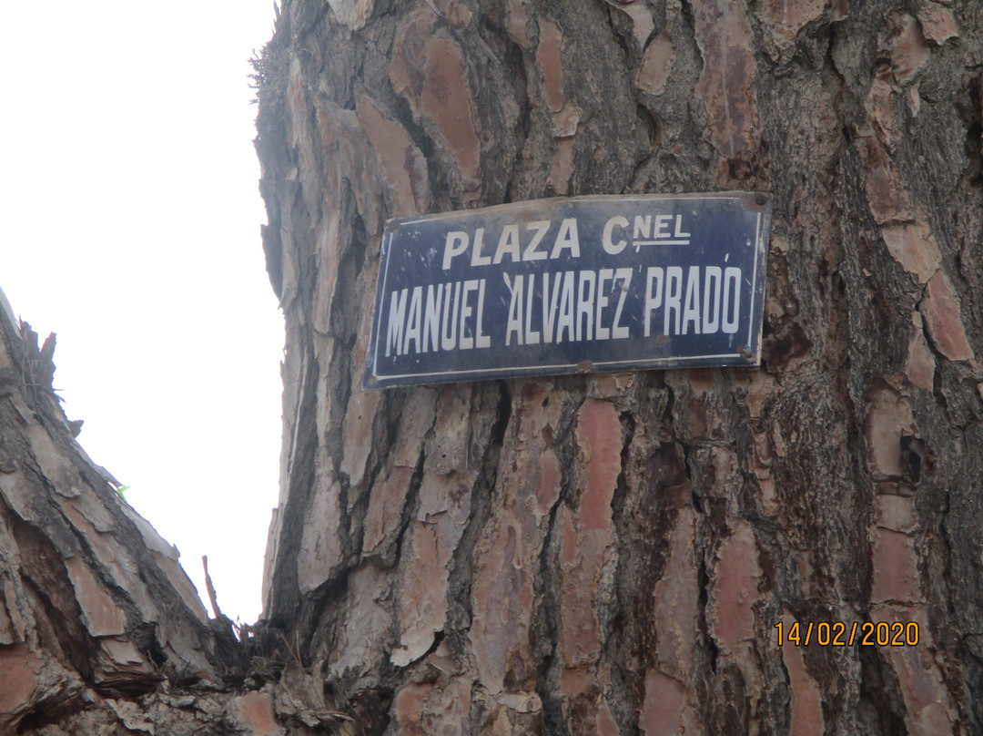 Plaza Alvarez Prado景点图片