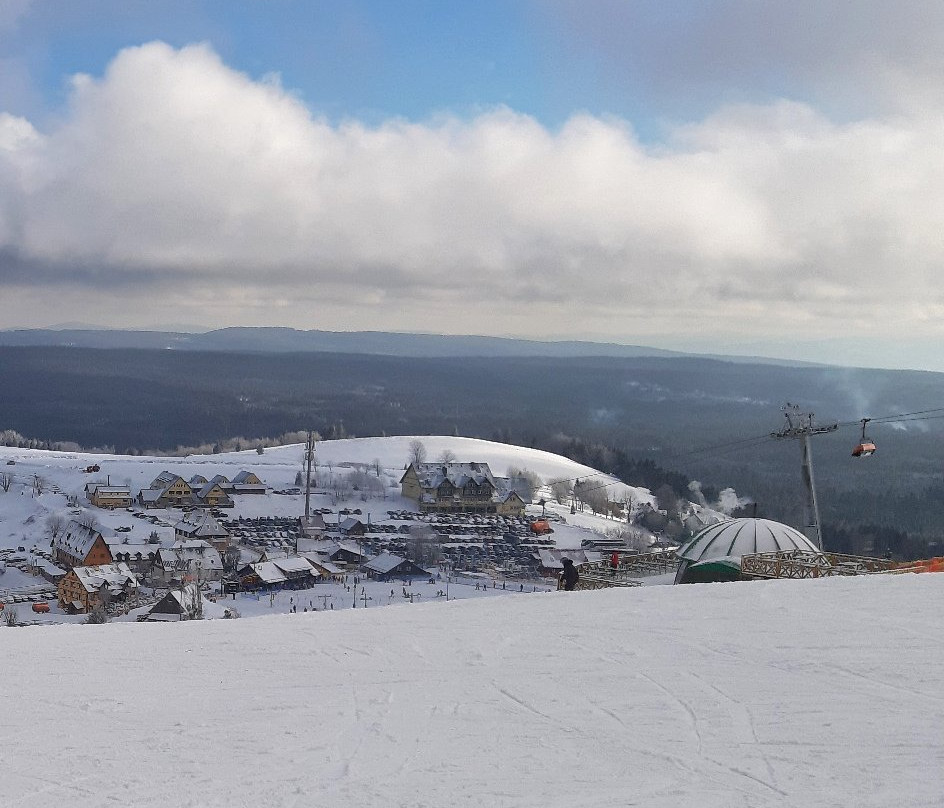 Zieleniec SKI Arena景点图片