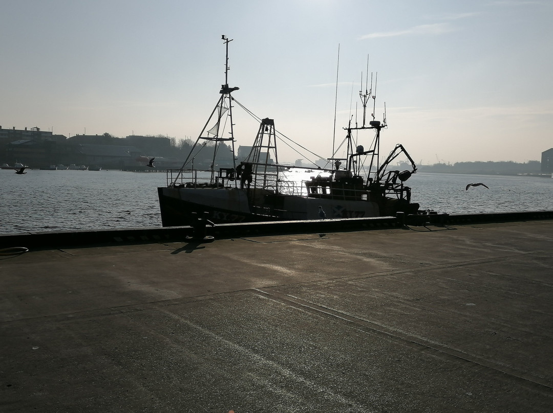 North Shields Fish Quay-North Shields必去景点