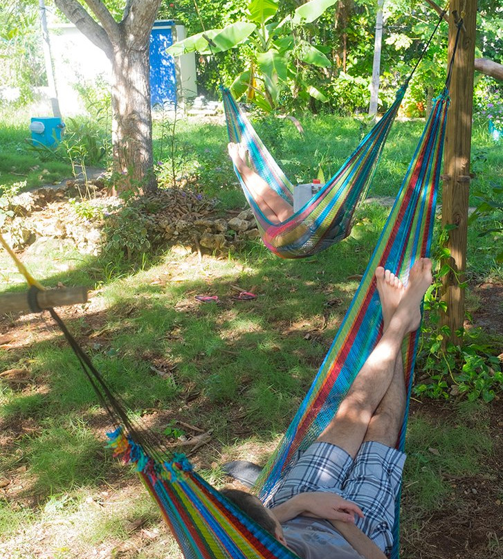 Buconos Diving Hotel主图