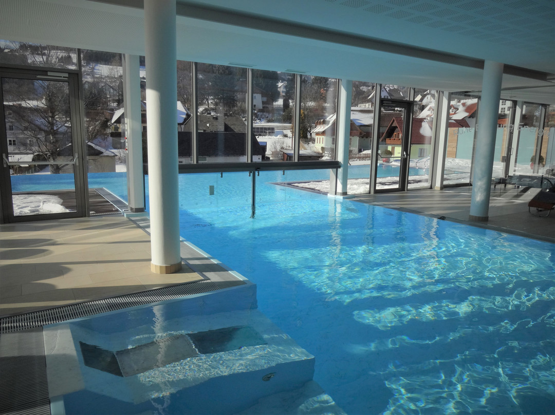 Dorfhotel Fasching主图