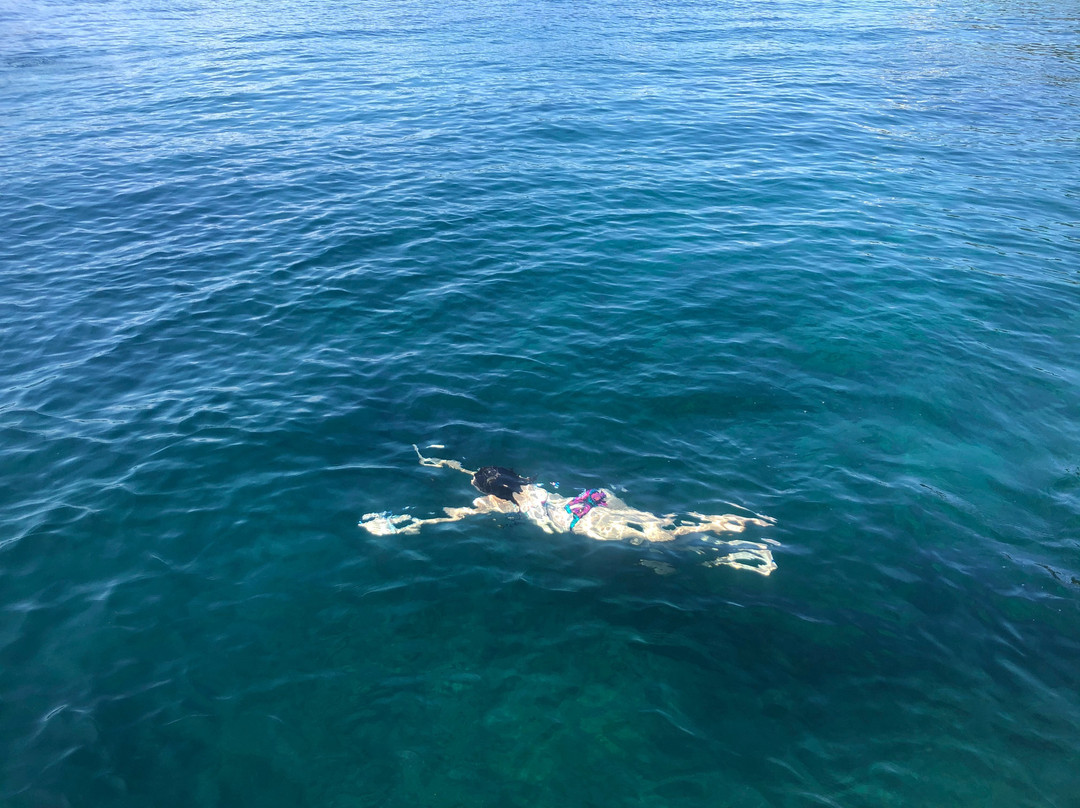 Ecodivers Pucon-普孔必去景点