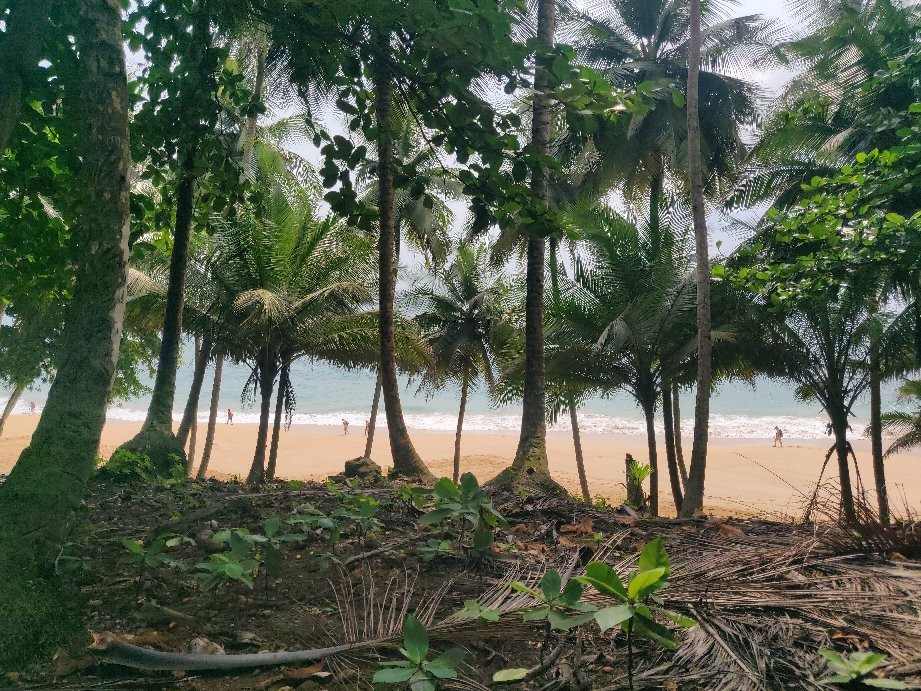 Praia Jale景点图片