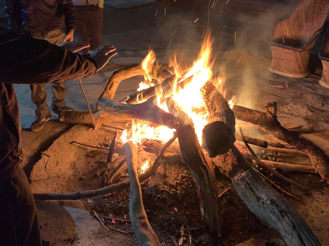 Ashoka Tiger Trail主图