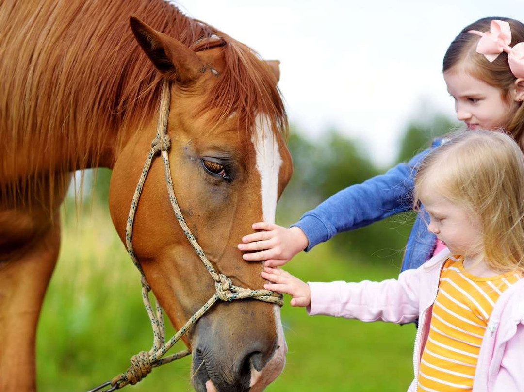 Charles Wesley Motor Lodge主图