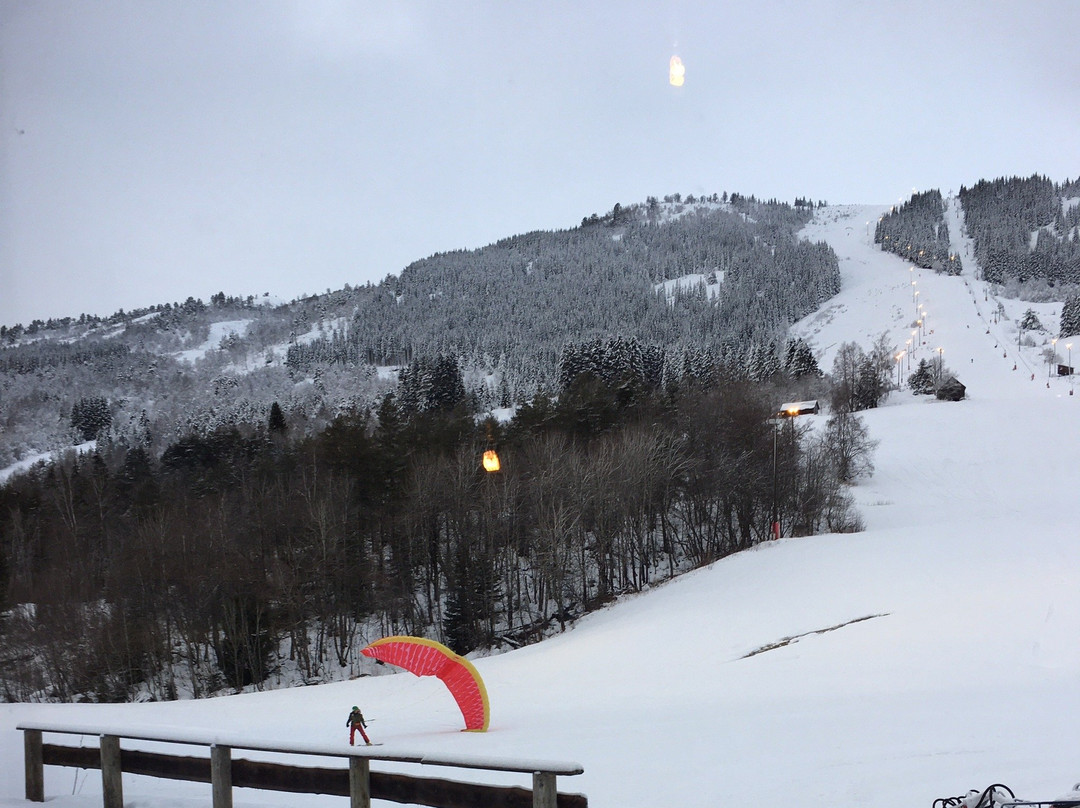 Sogn Skisenter景点图片
