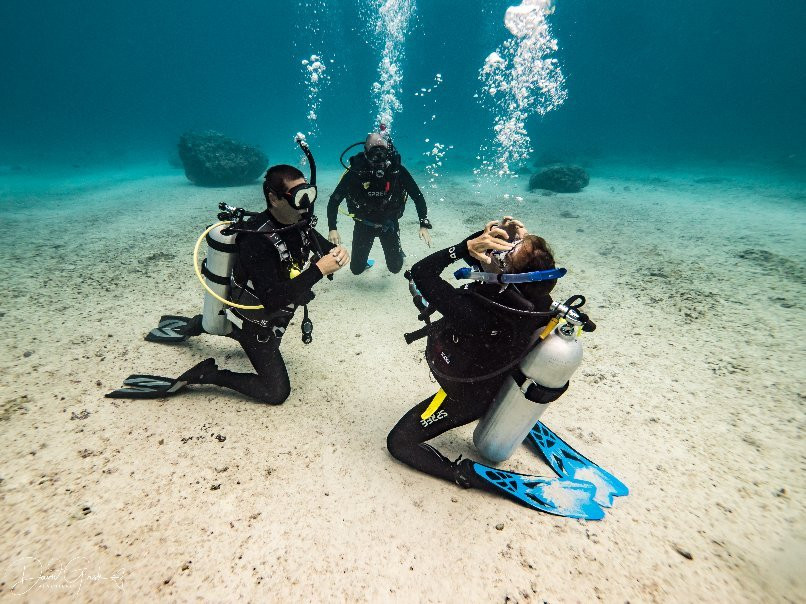 Dive Tonga景点图片