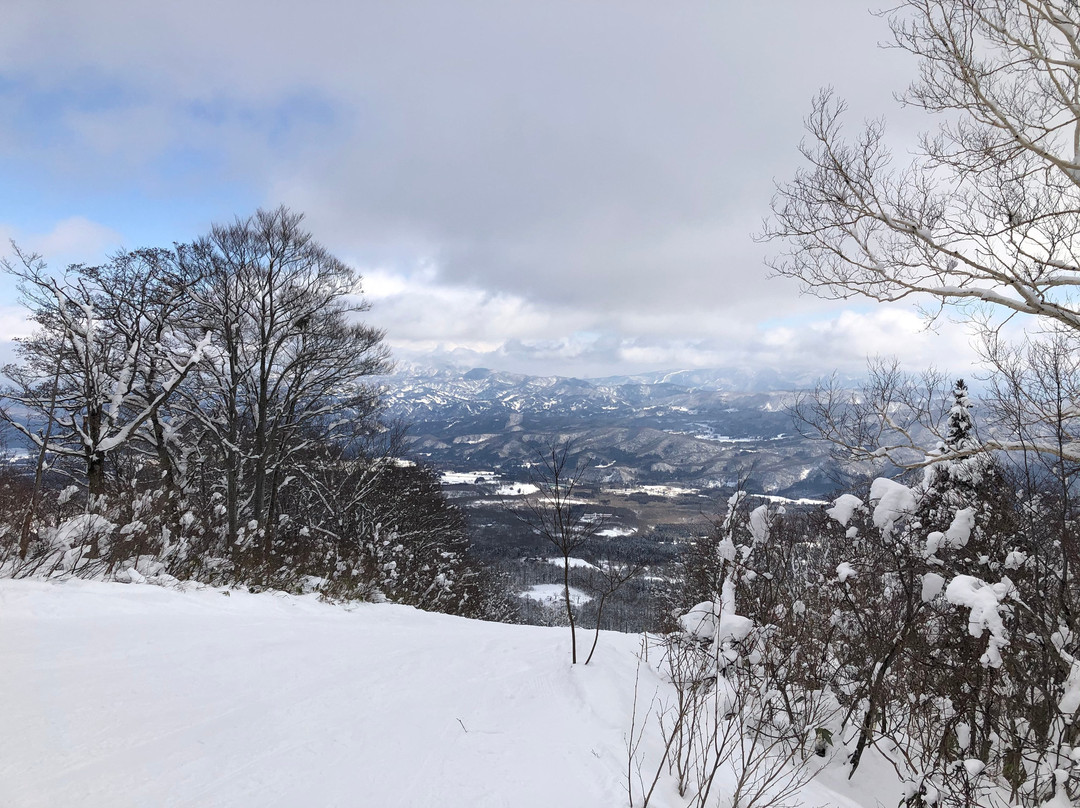 Akakura Onsen Ski Area景点图片