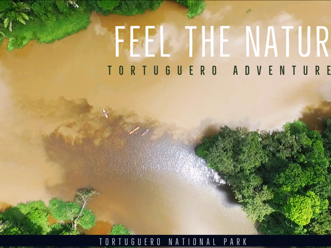 Tortuguero Adventures景点图片
