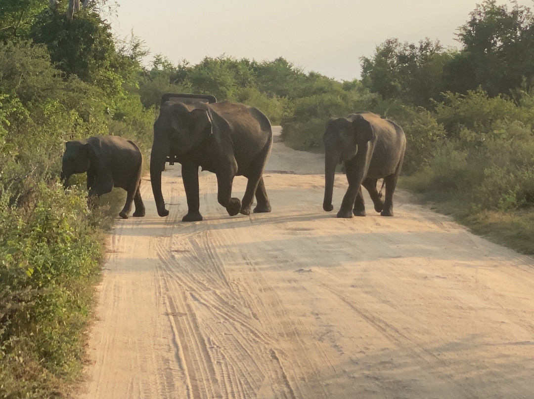 Srilanka by Hanka-希克杜沃必去景点