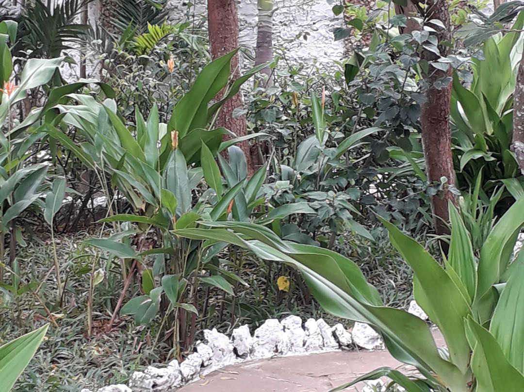 Villa Bahati Oasis Sun Dream