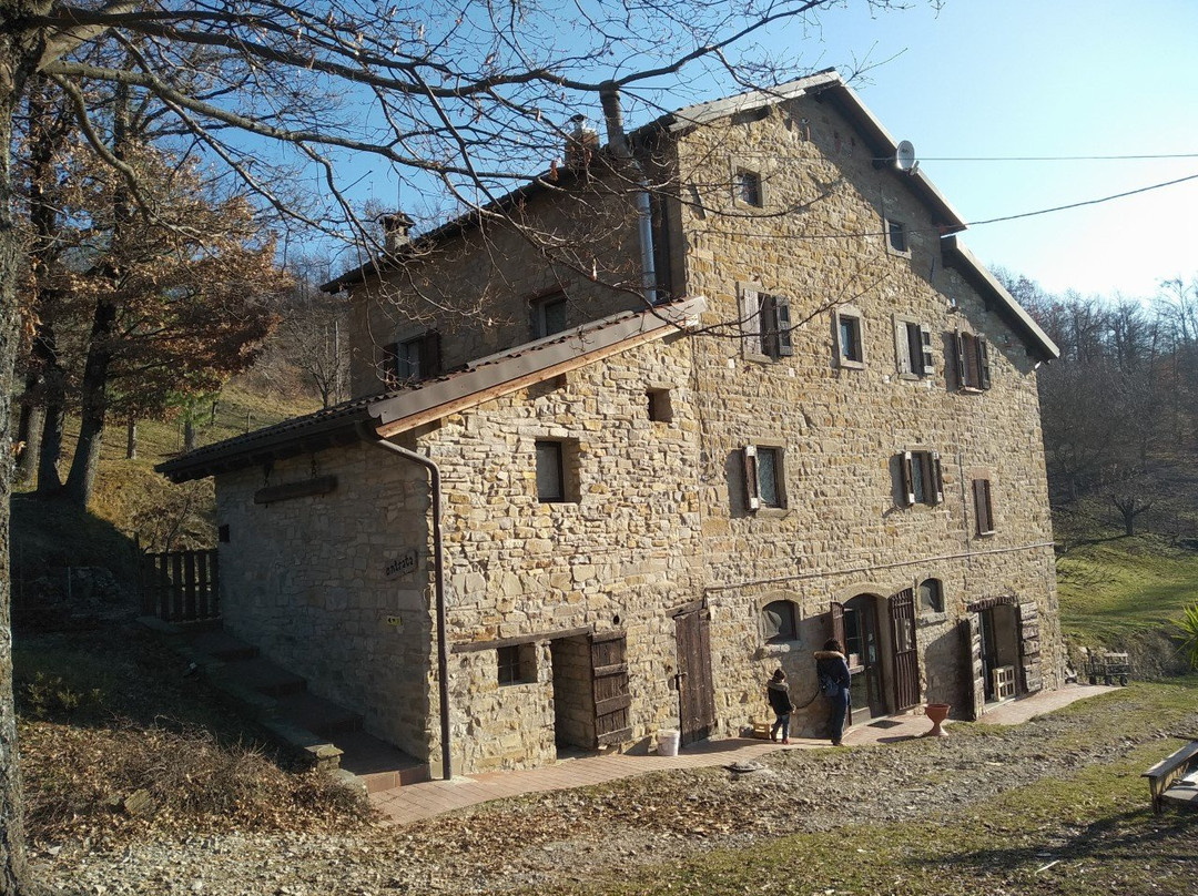 La Pieve del Picchio主图