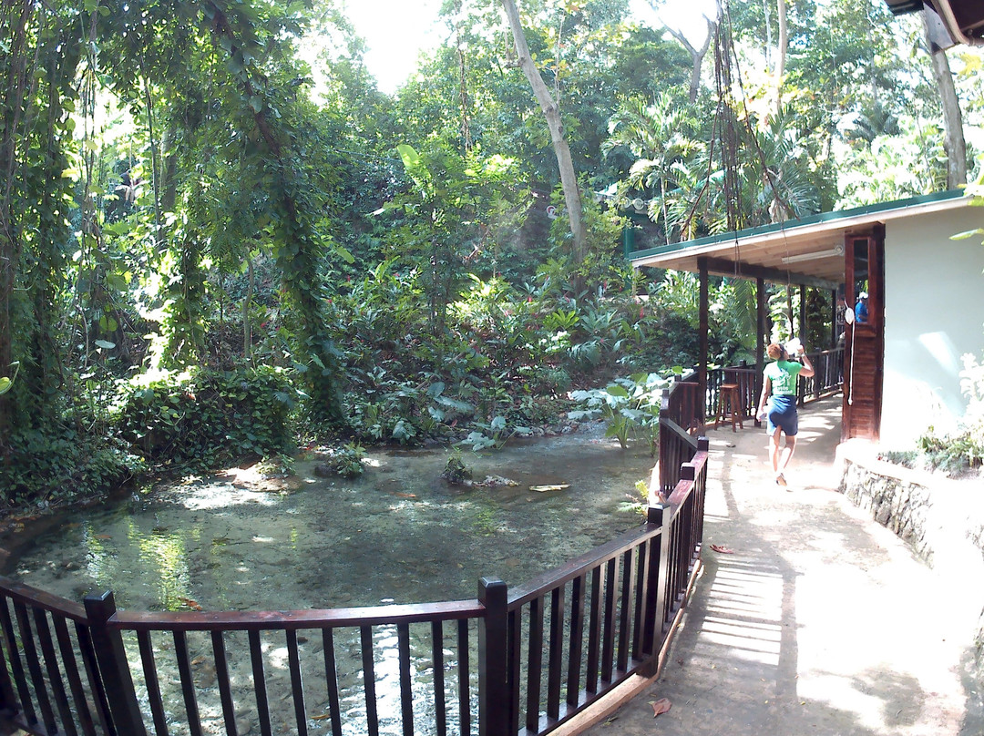 Travel Jamaica Trips-奥乔里奥斯必去景点