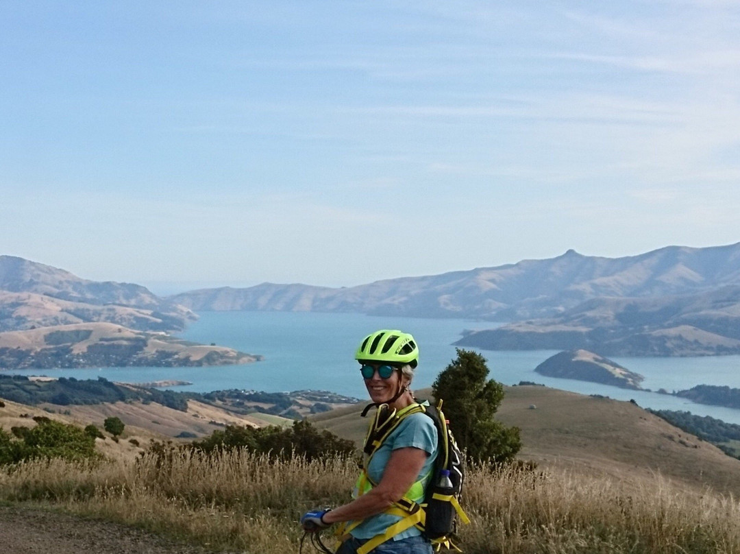 Akaroa Ebike Safaris景点图片