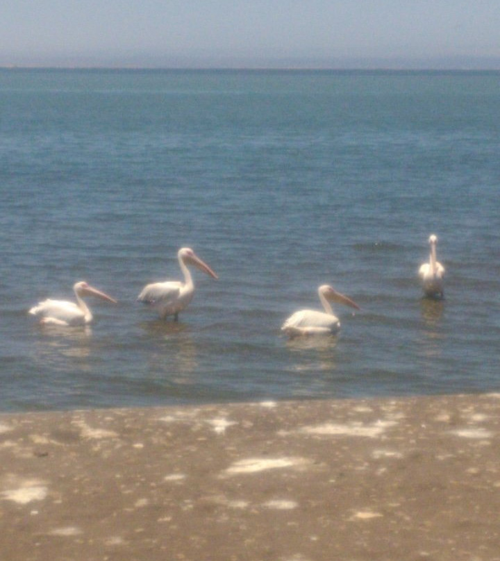 Discovery Transfer and Tour-温德和克必去景点