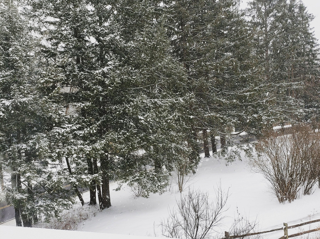 Stockbridge Country Inn主图