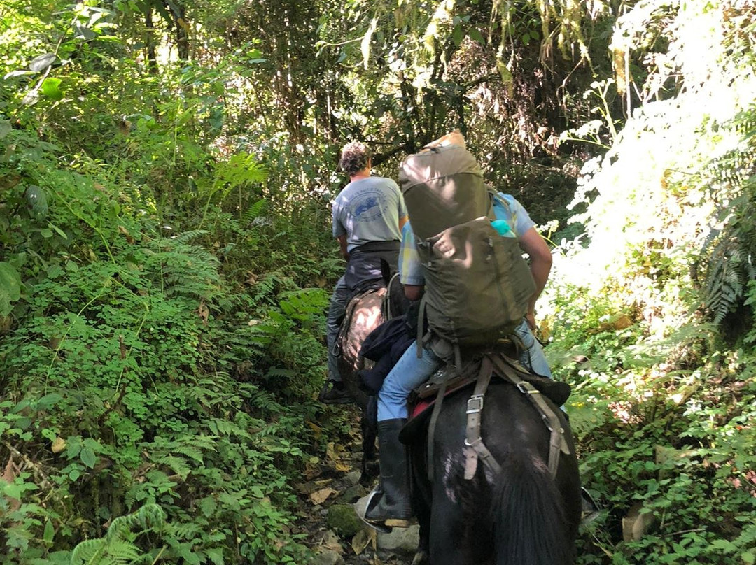 Truman Adventure-Ibague必去景点