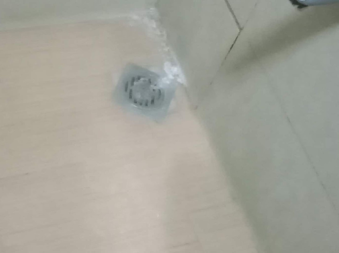 The Executive Villa主图