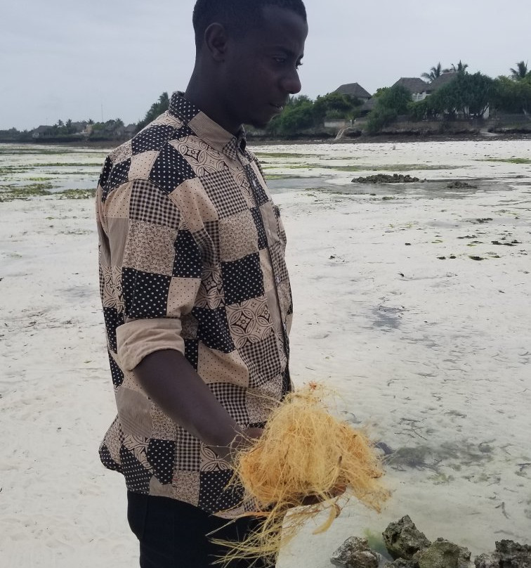 Jambiani Tours-江比阿尼必去景点