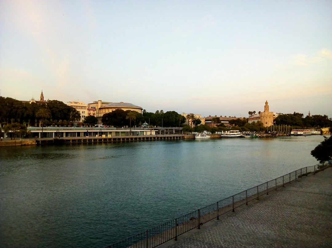 伊莎贝尔二世桥景点图片