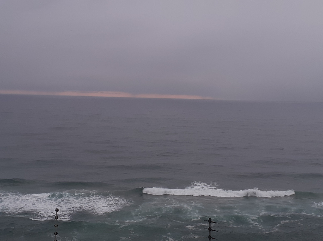 Dolphin Point Bed & Breakfast主图