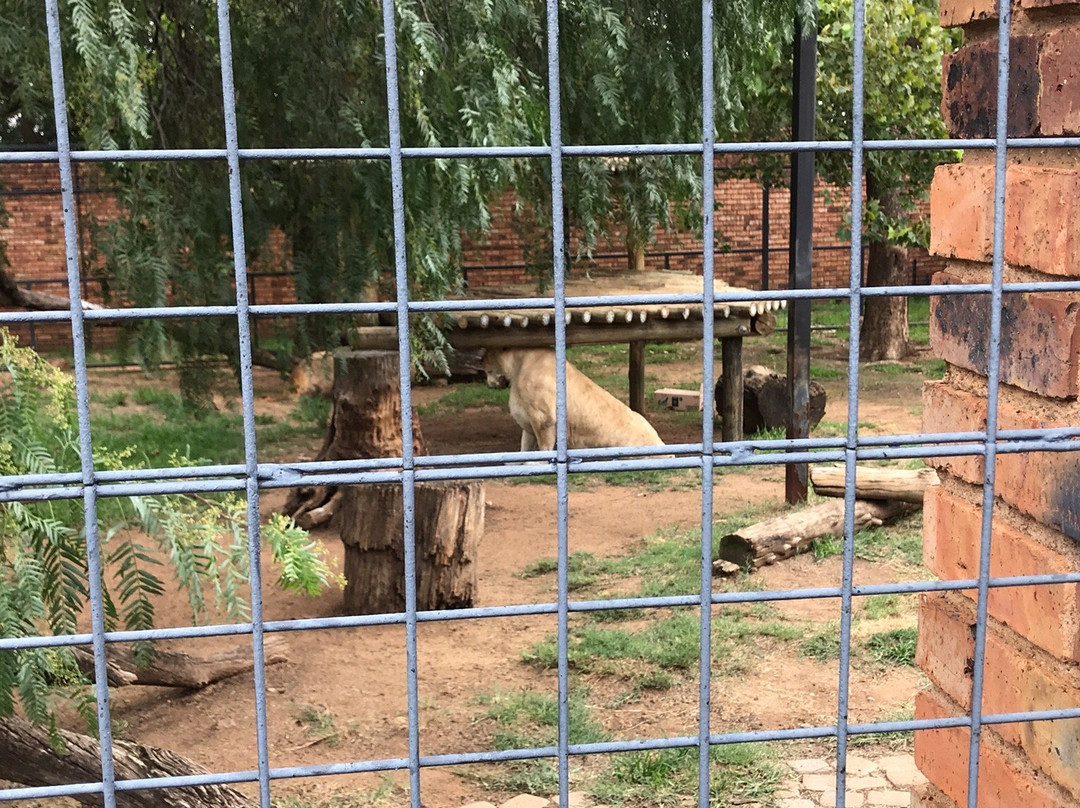 Lory Park景点图片