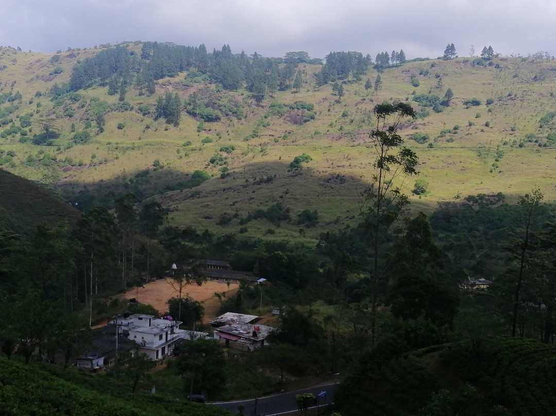 The Greendale Bungalow主图