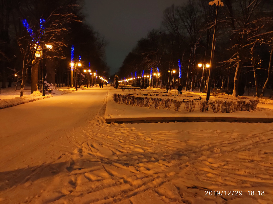 Shevchenko City Park景点图片