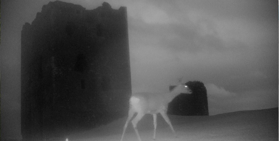 Threave Castle景点图片