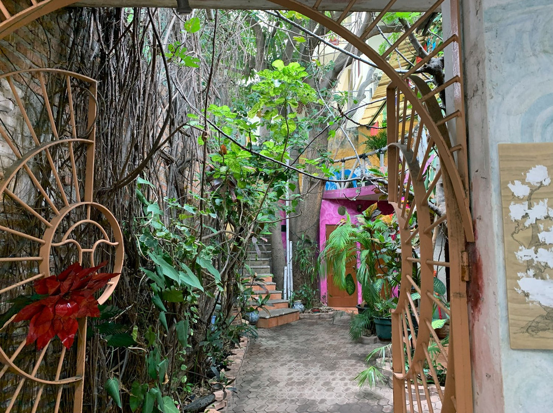 Nidart-马萨特兰必去景点